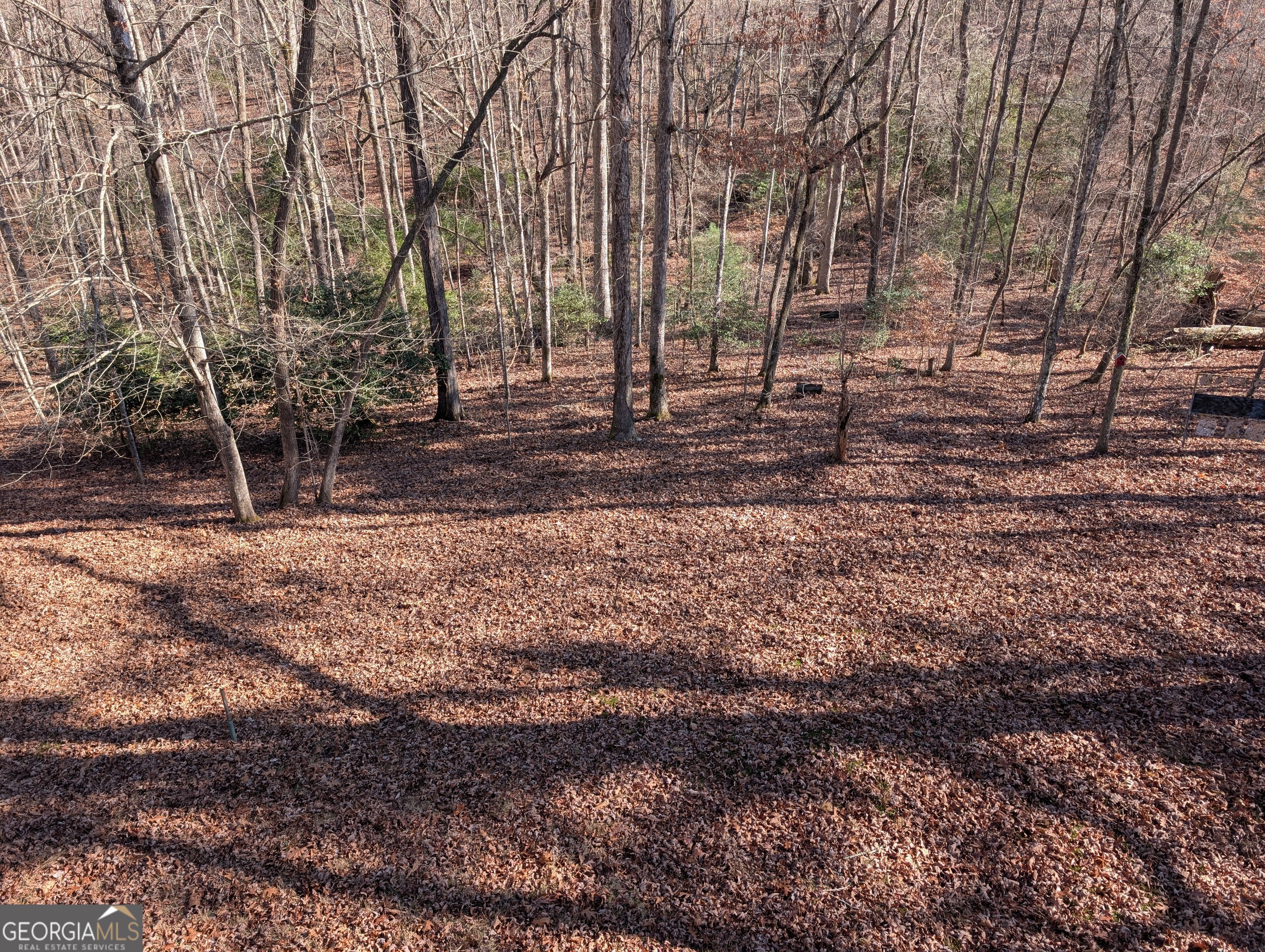 230 Pine Forest Loop Blue Ridge GA 30513