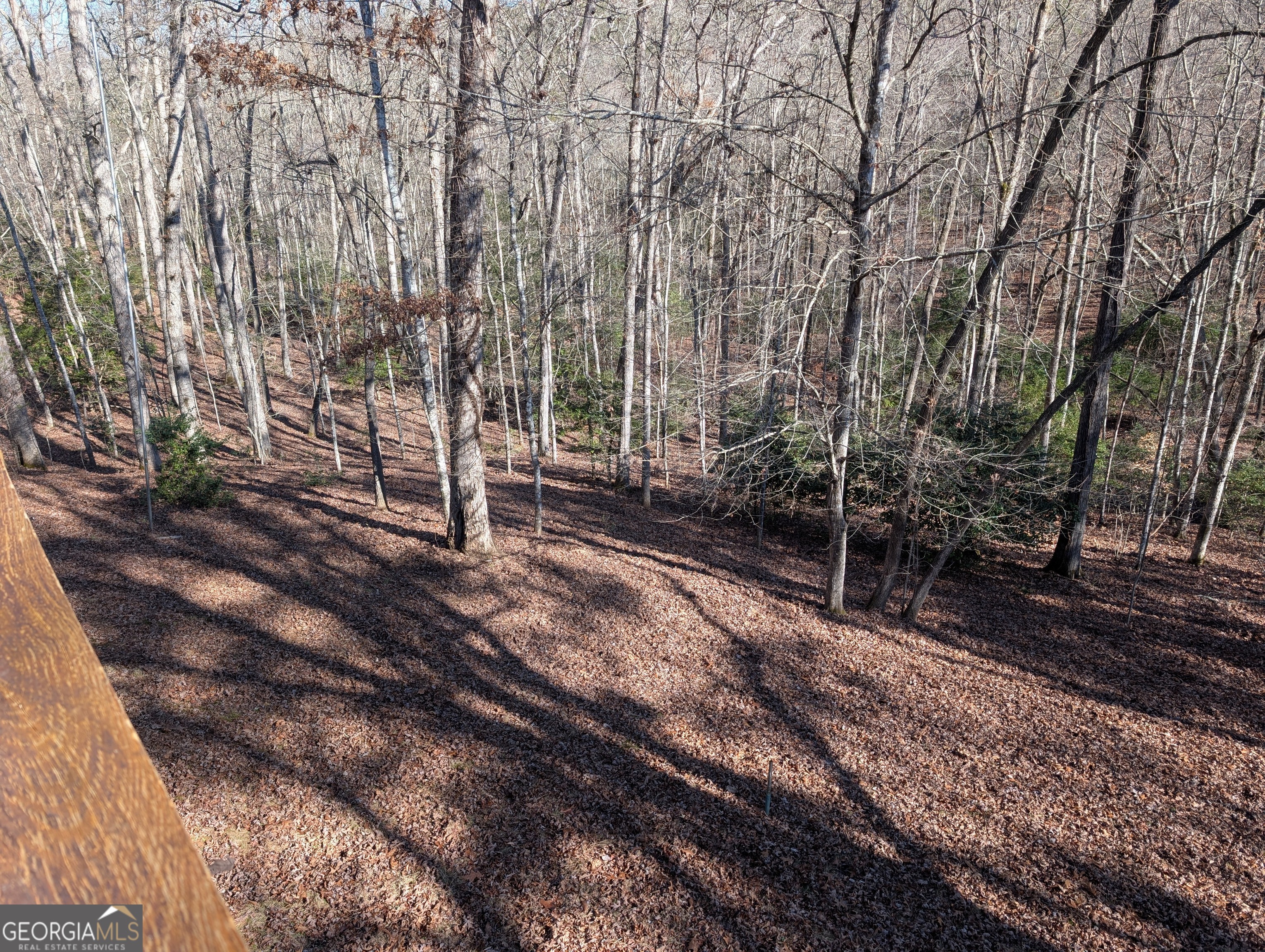 230 Pine Forest Loop Blue Ridge GA 30513