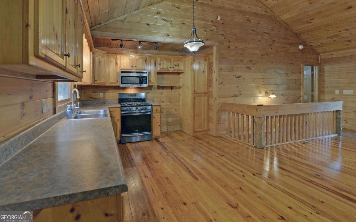 230 Pine Forest Loop Blue Ridge GA 30513