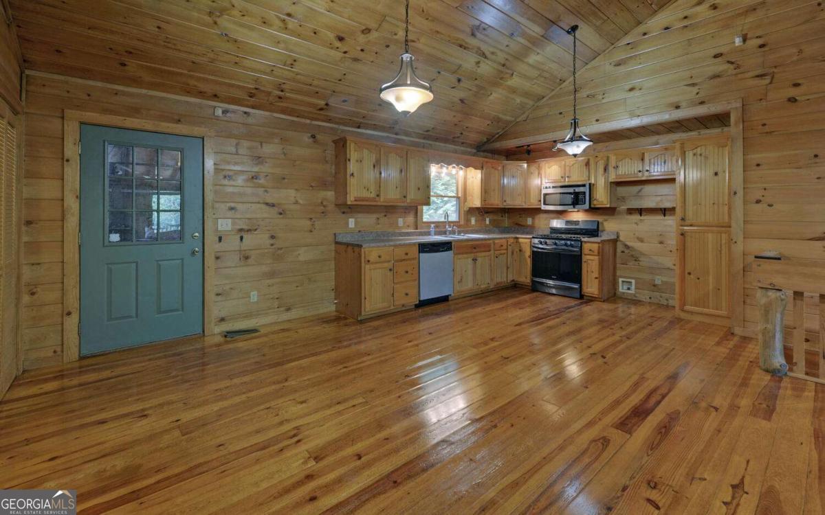 230 Pine Forest Loop Blue Ridge GA 30513