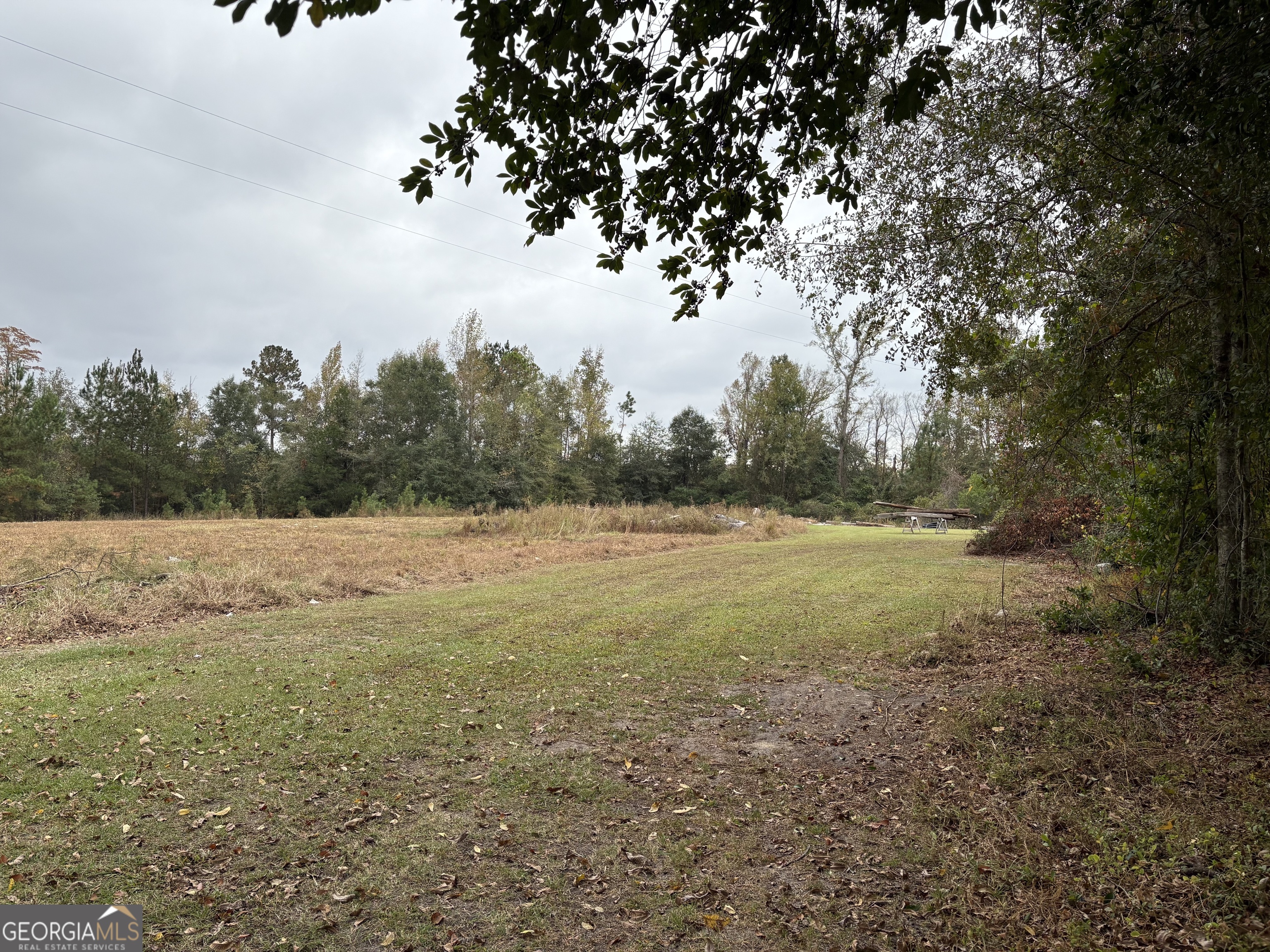 1533 W River Road Rhine GA 31077