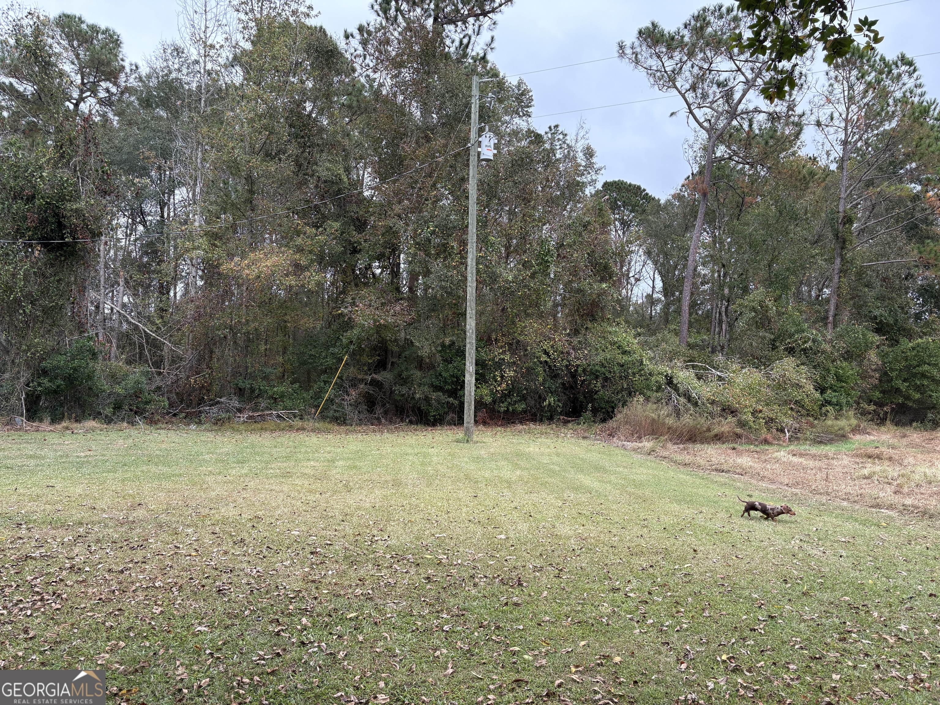 1533 W River Road Rhine GA 31077