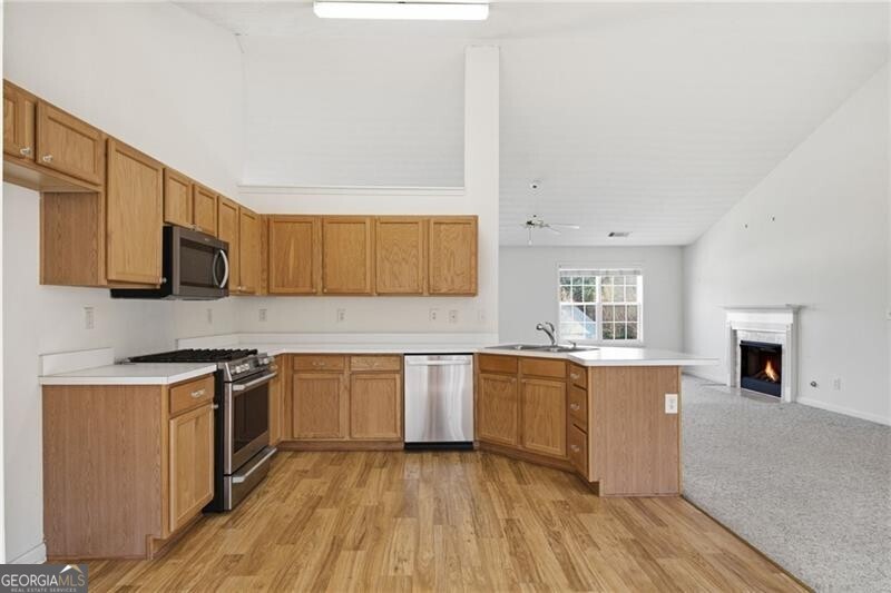 4037 Deerlope Court Gainesville GA 30506