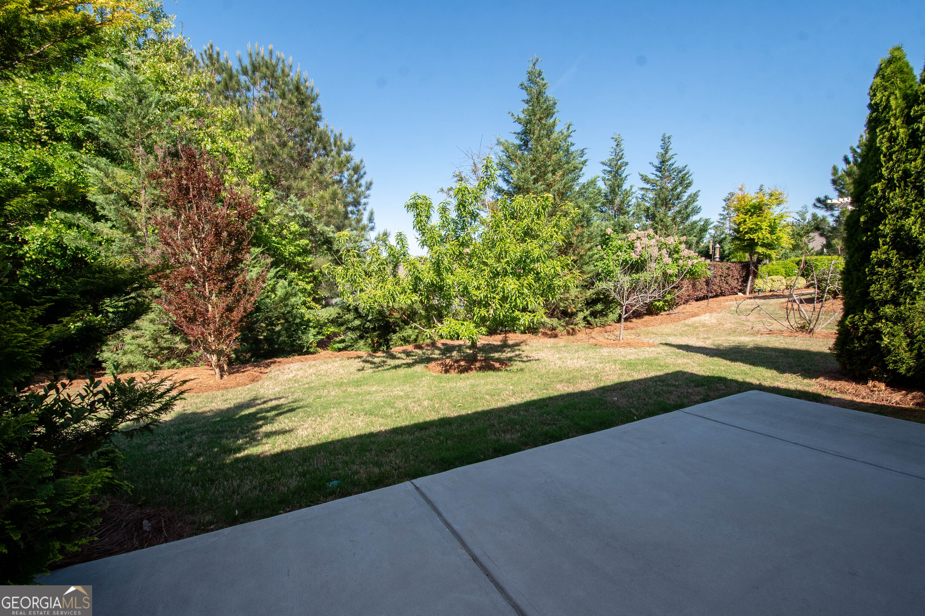 245 Spruce Pine Circle Peachtree City GA 30269