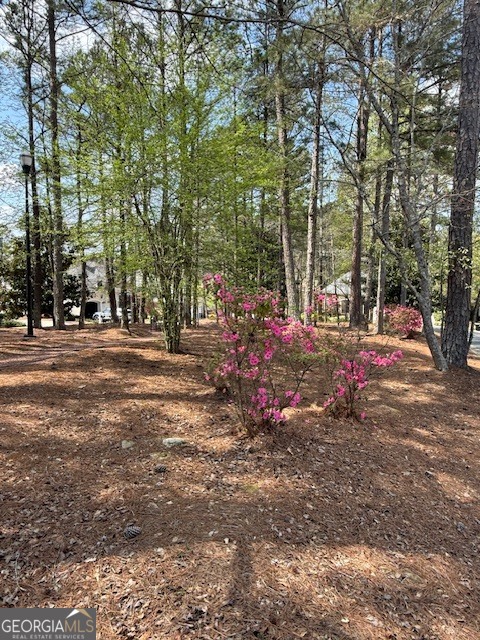 116 Crown Court Peachtree City GA 30269