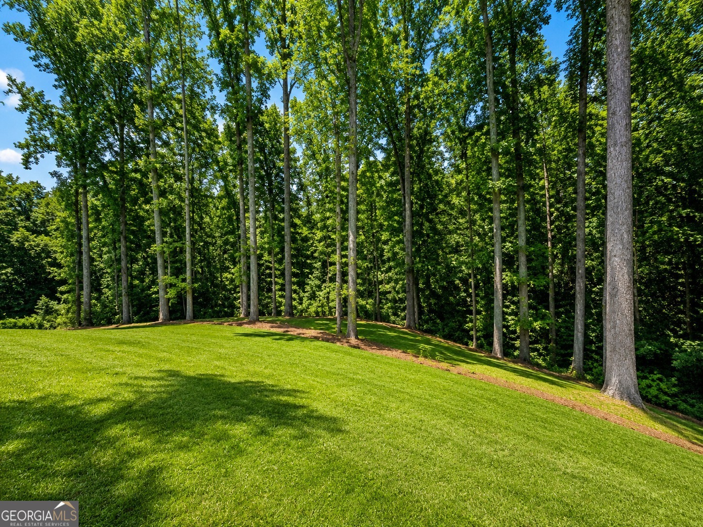 91 Lenten Rose Lane Pendergrass GA 30567
