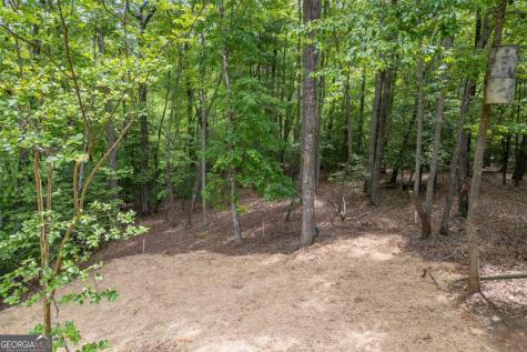 40 Caledonia Drive Blairsville GA 30512