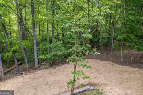 40 Caledonia Drive Blairsville GA 30512