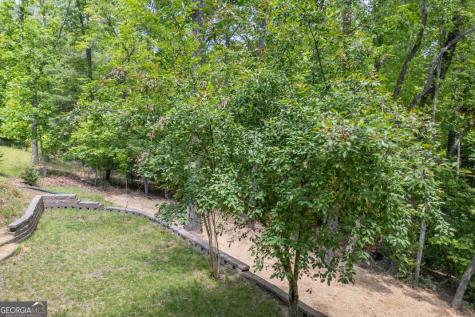 40 Caledonia Drive Blairsville GA 30512