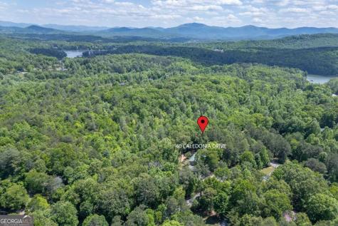 40 Caledonia Drive Blairsville GA 30512