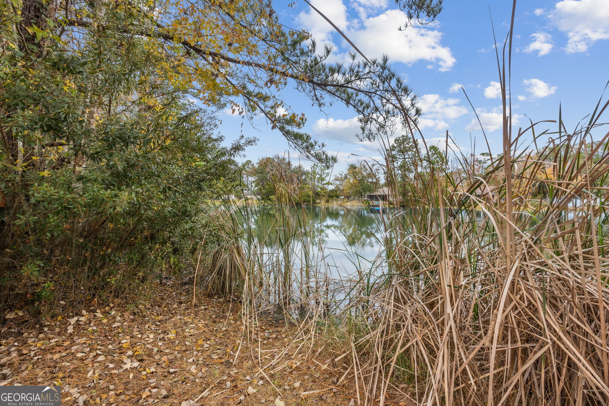119 Lorraine Drive White Oak GA 31568
