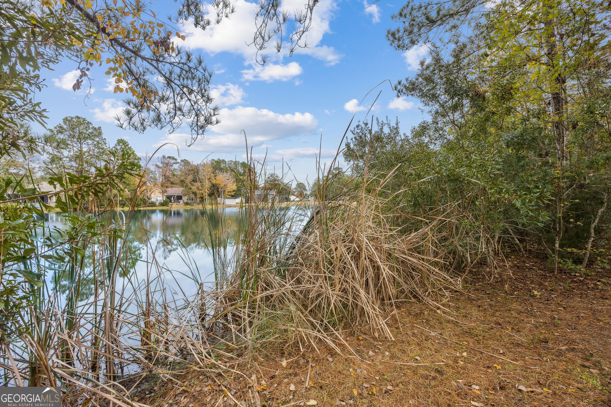 119 Lorraine Drive White Oak GA 31568
