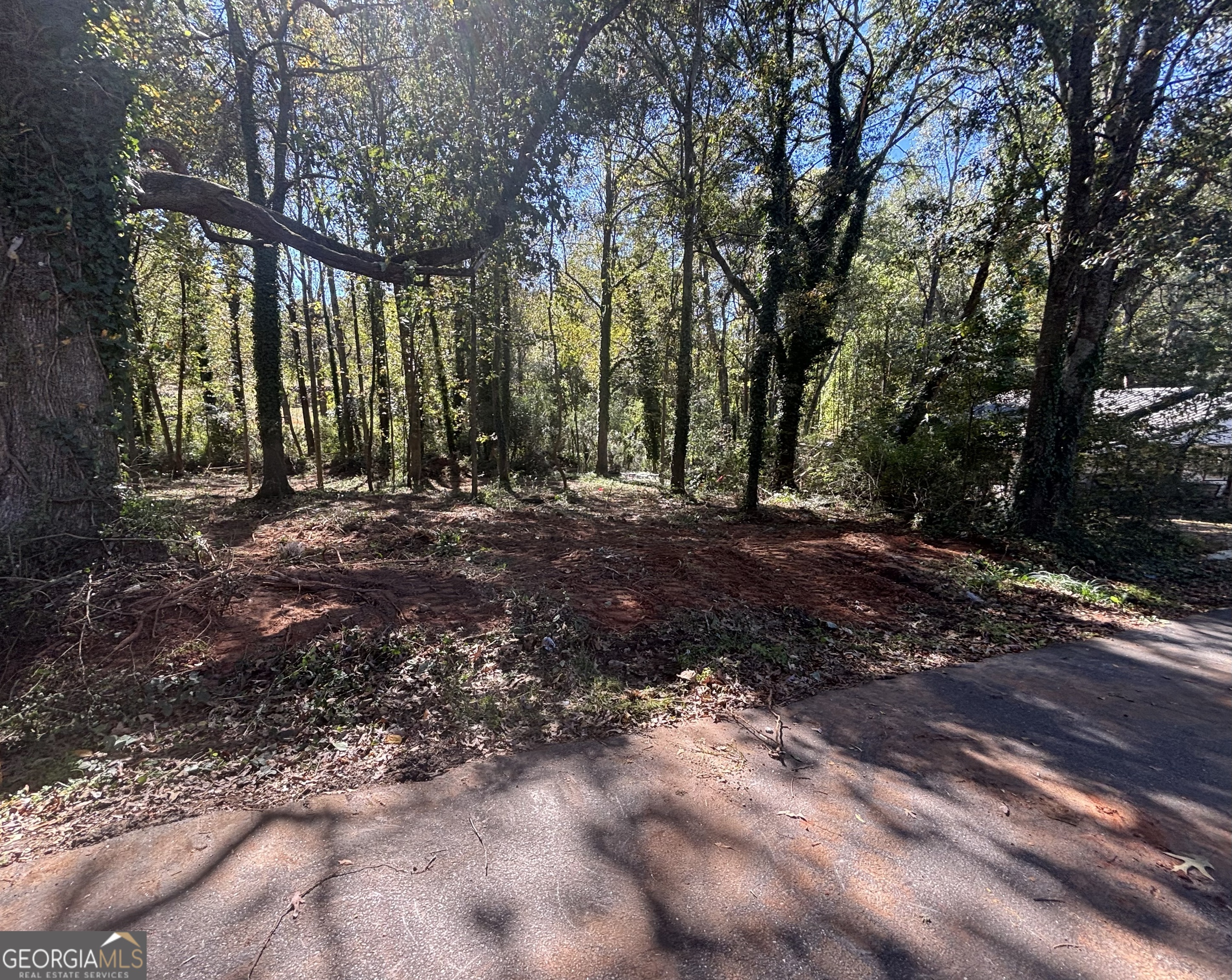 0A Grove Street Royston GA 30662