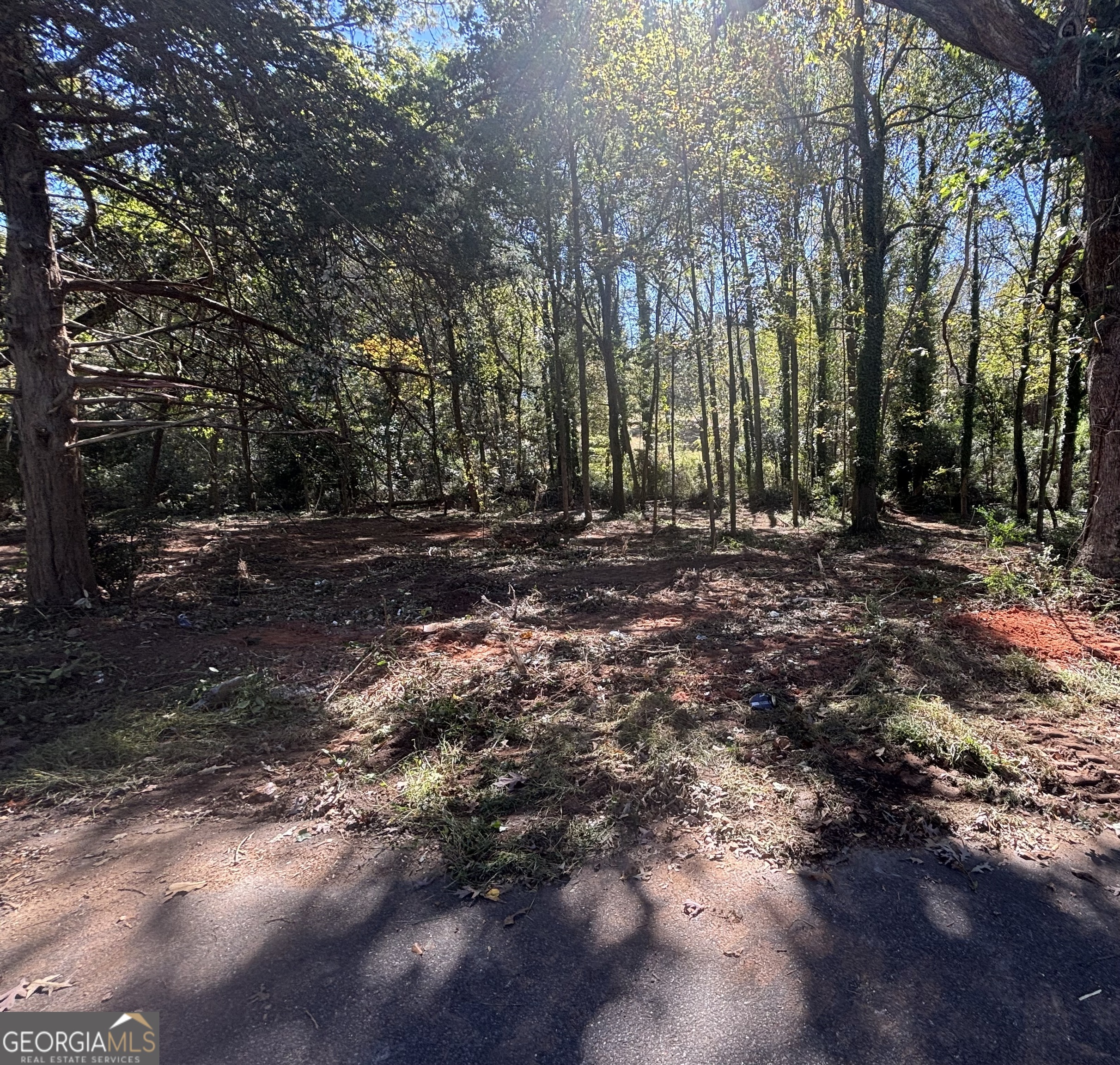0A Grove Street Royston GA 30662