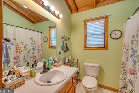 158 Alicia Lane Blairsville GA 30512