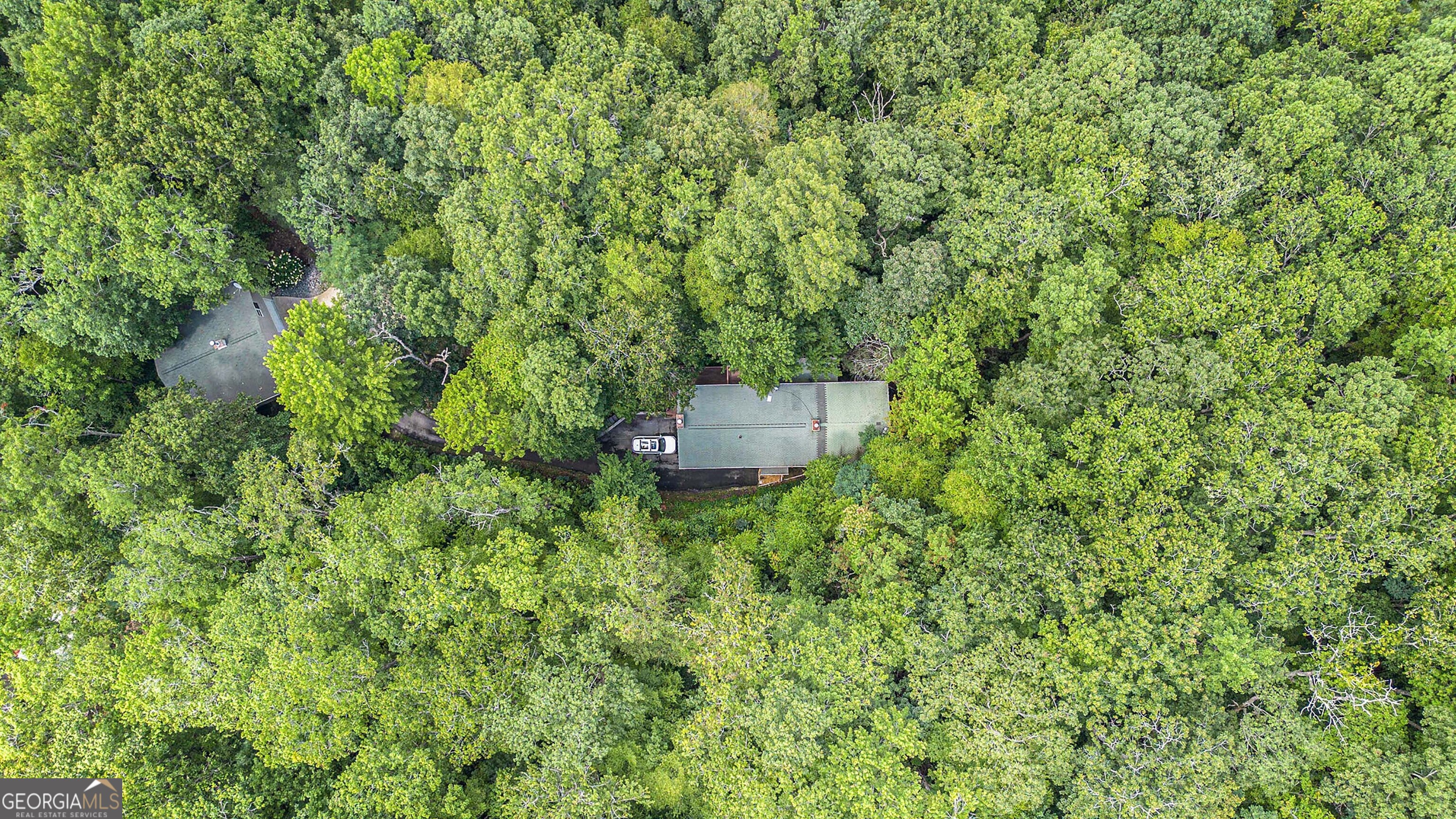 119 Green Bower Trail Clayton GA 30525