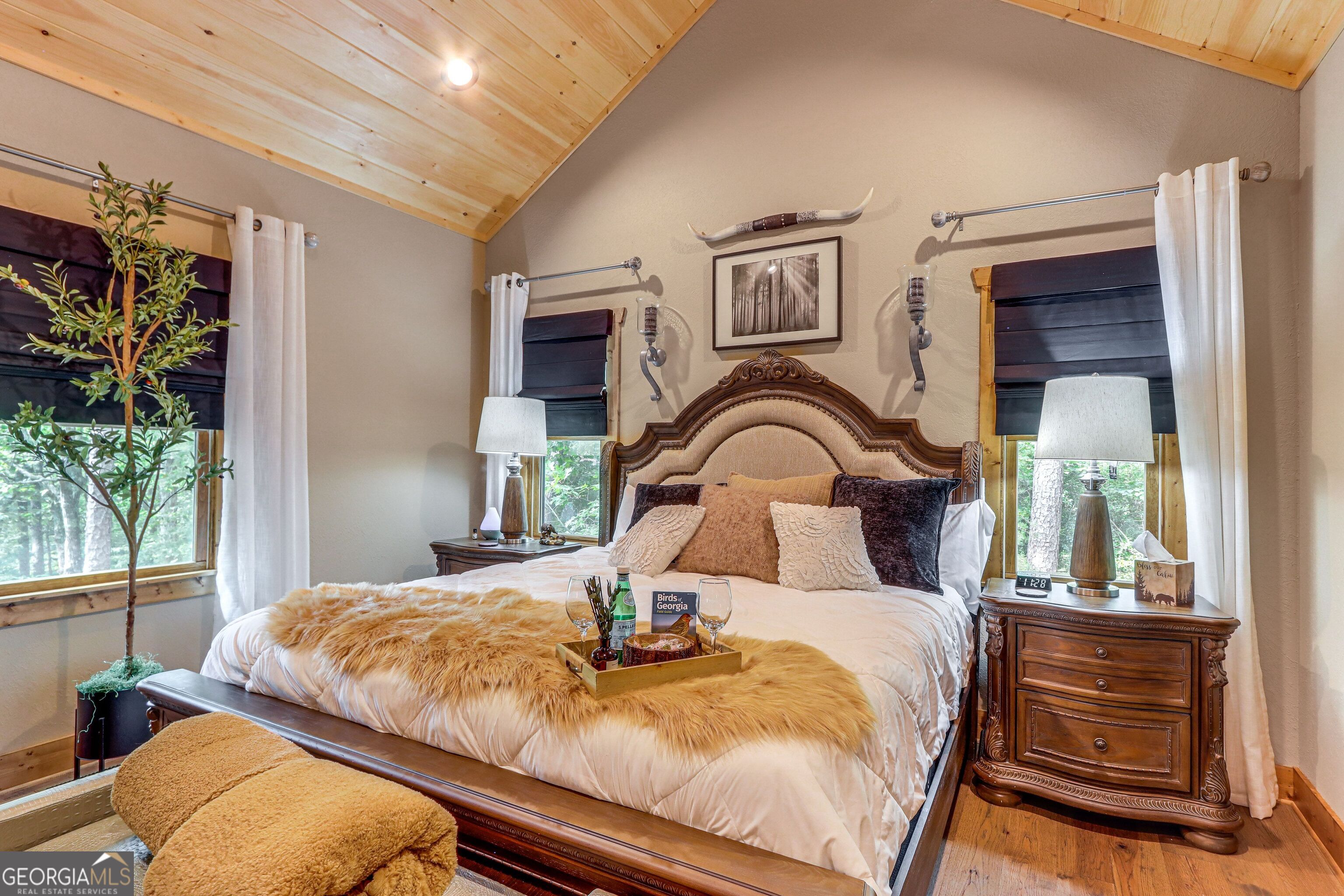 313 Muffle Court Ellijay GA 30540