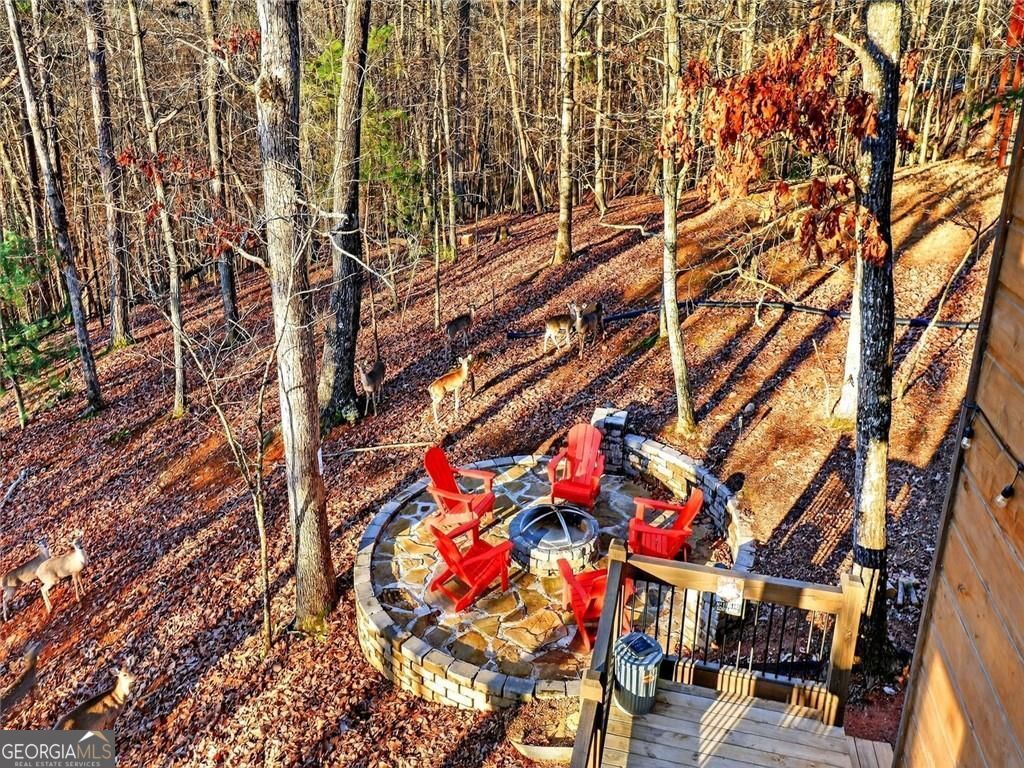 313 Muffle Court Ellijay GA 30540