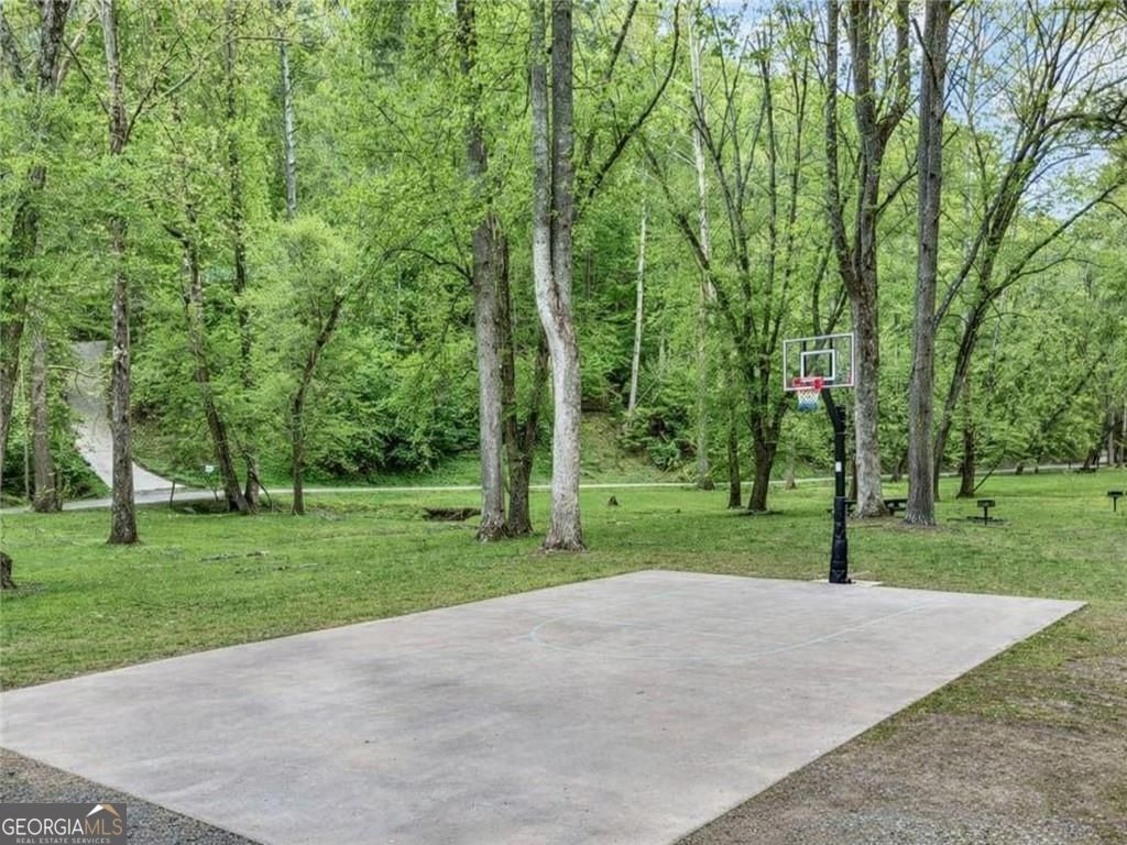 313 Muffle Court Ellijay GA 30540