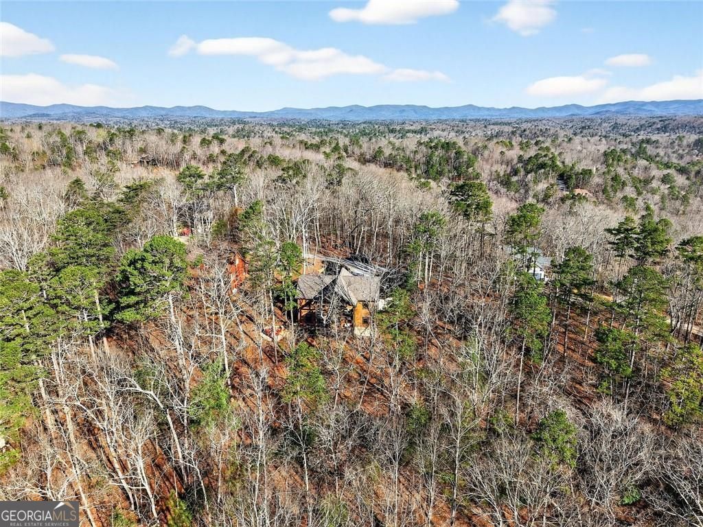 313 Muffle Court Ellijay GA 30540