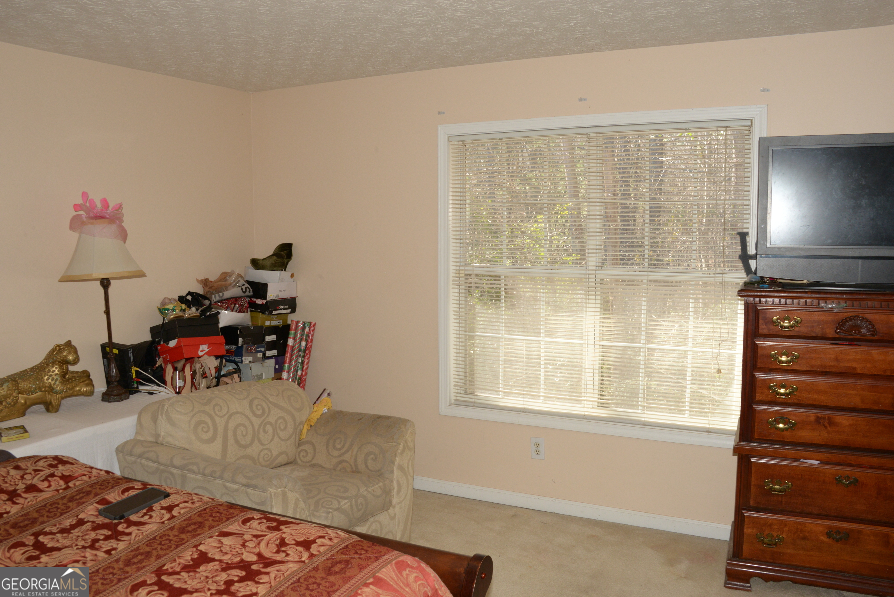 3013 Pommel Court Conyers GA 30013