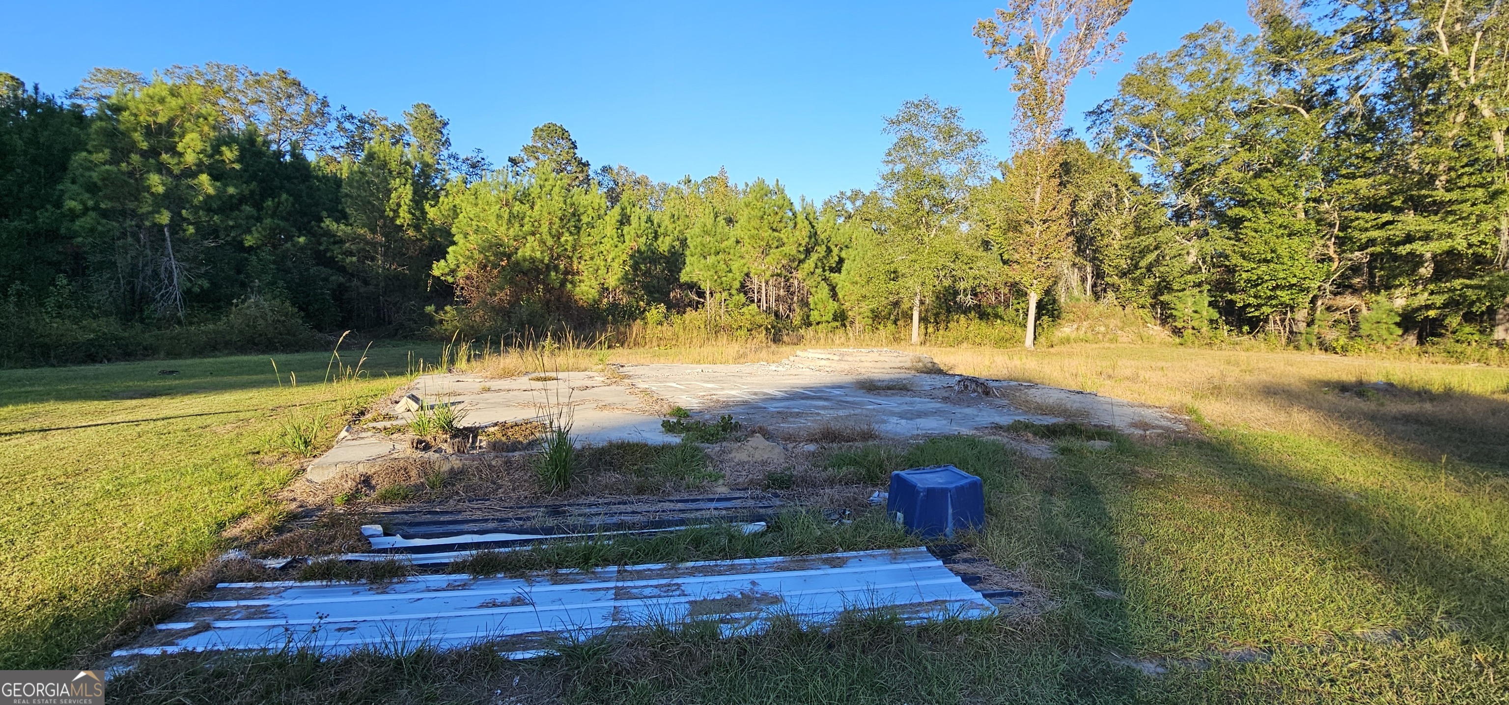 596 Arnett School Road Sylvania GA 30467
