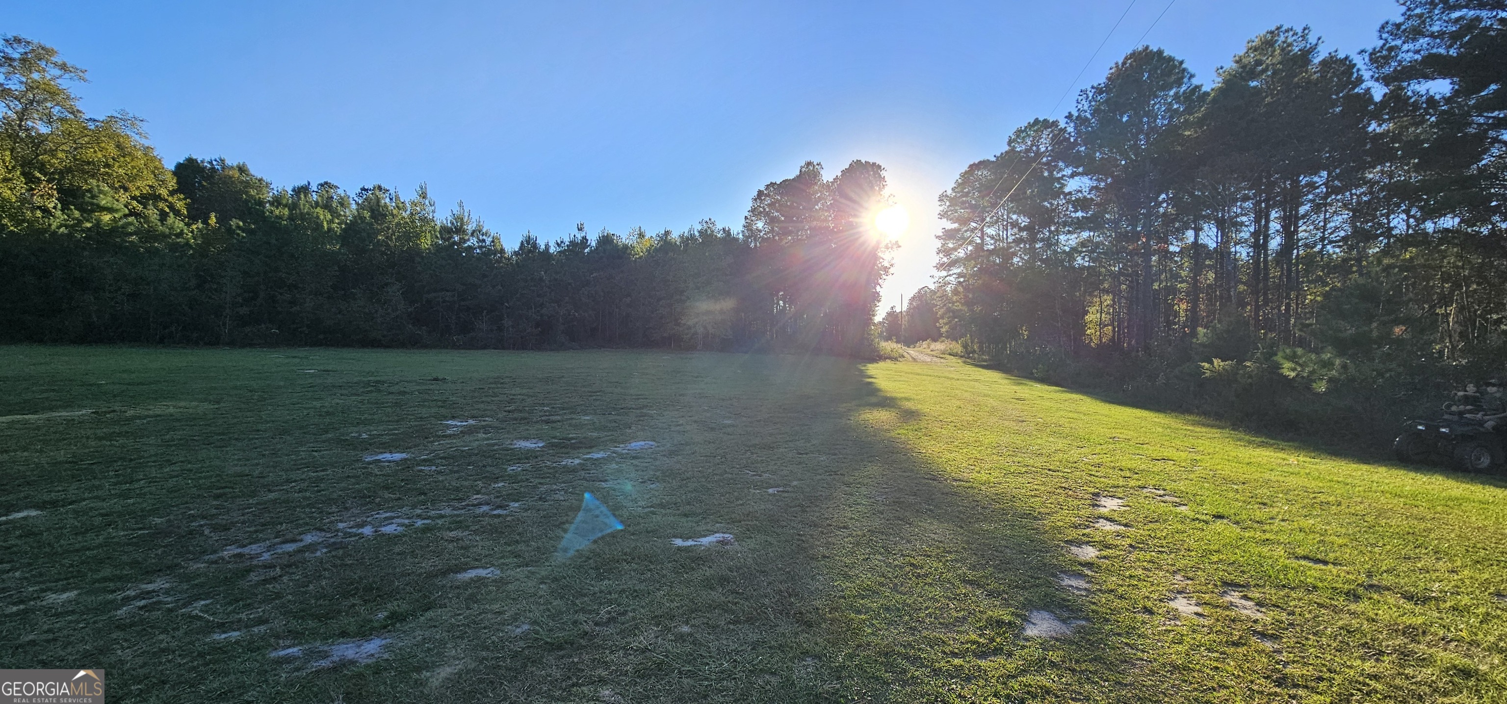 596 Arnett School Road Sylvania GA 30467