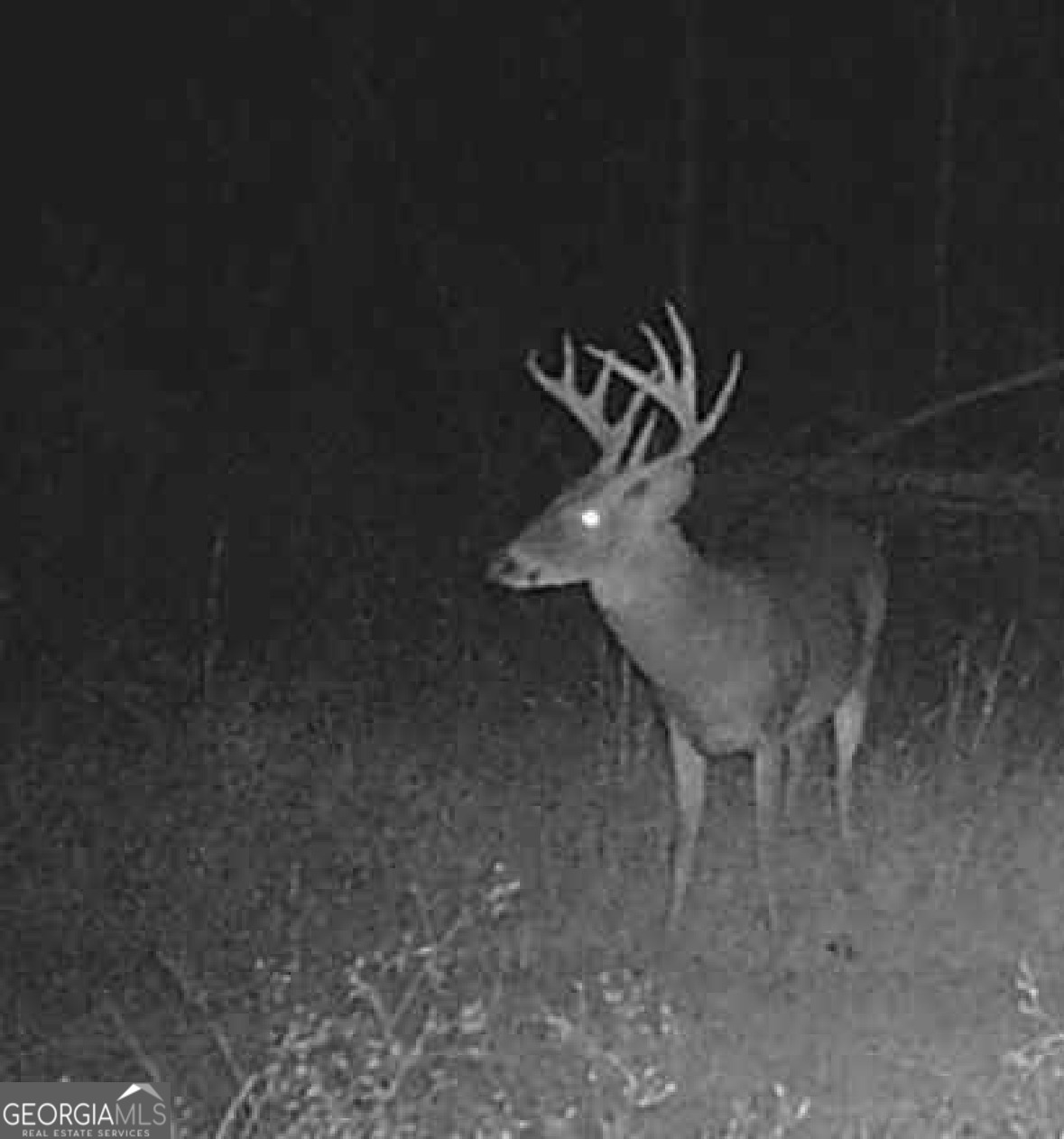 596 Arnett School Road Sylvania GA 30467