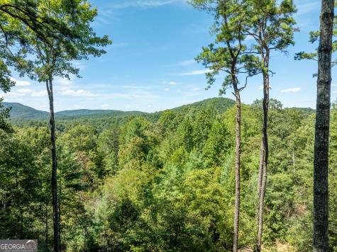 454 N Old Aska Road Blue Ridge GA 30513