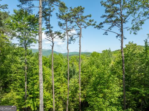 454 N Old Aska Road Blue Ridge GA 30513