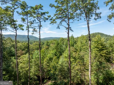 454 N Old Aska Road Blue Ridge GA 30513