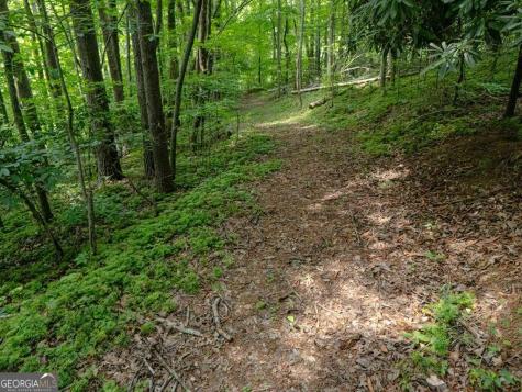 11 Treasure Lane Blairsville GA 30512