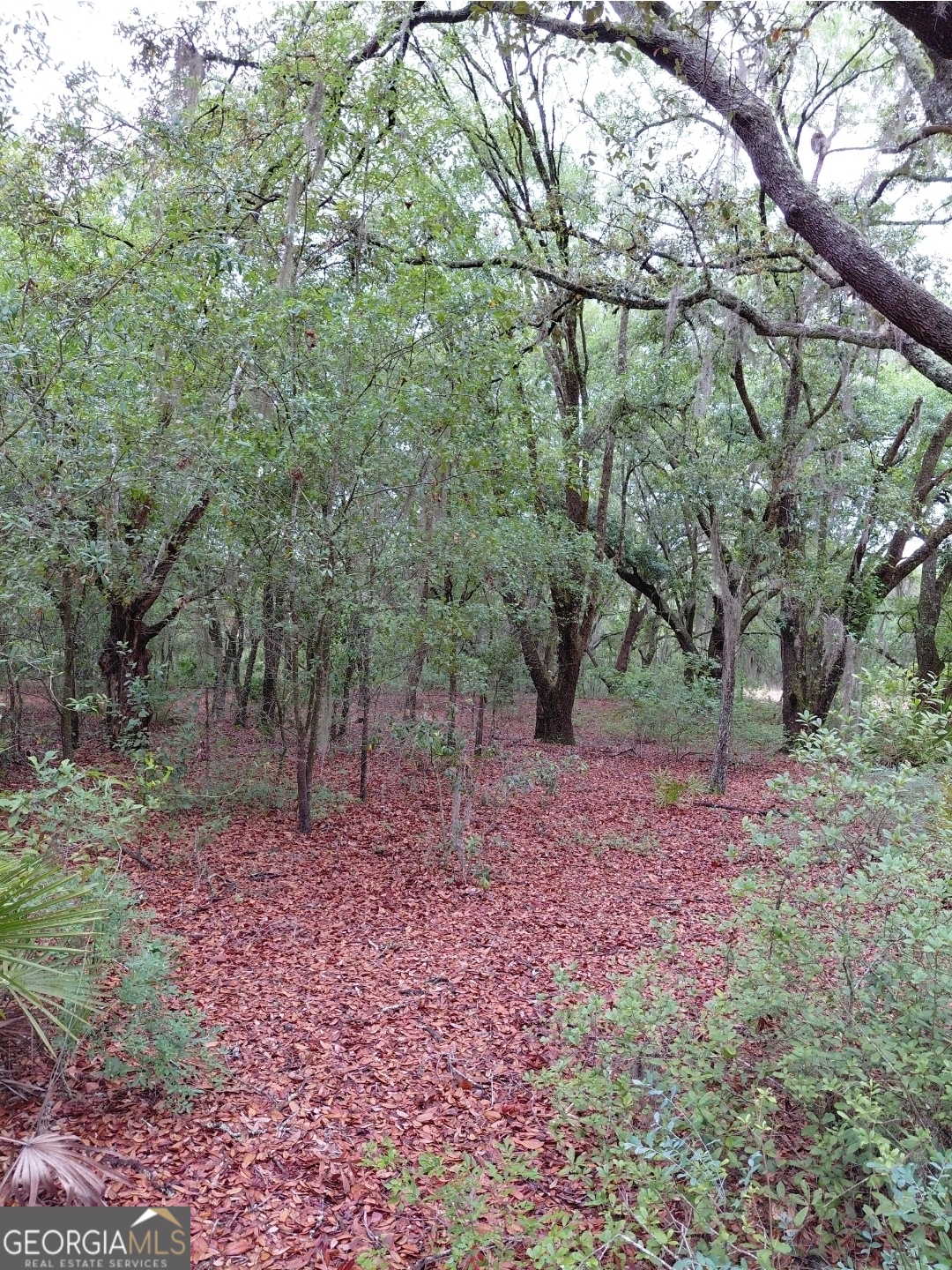 779 Ralph Davis Road Folkston GA 31537