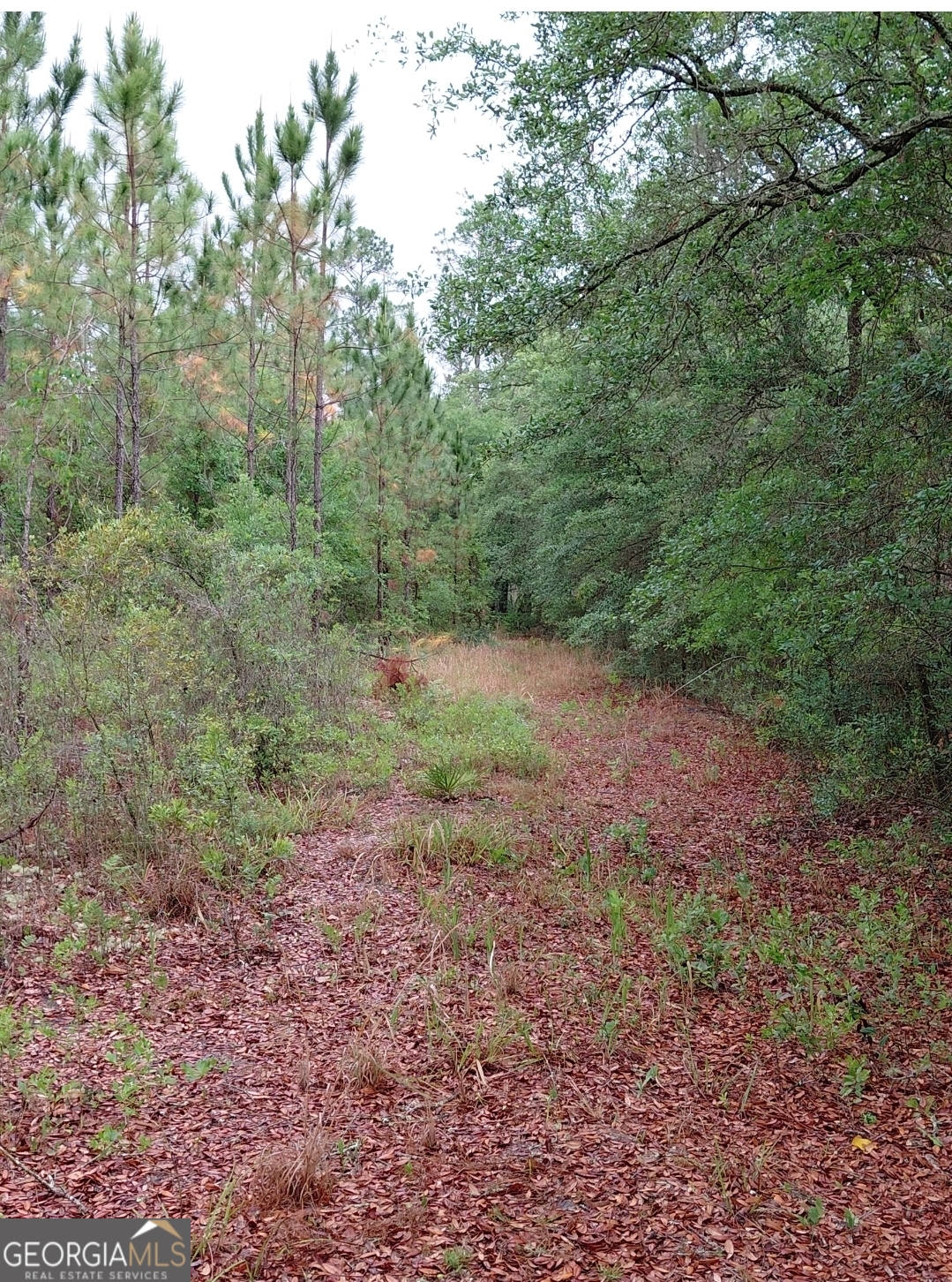 779 Ralph Davis Road Folkston GA 31537