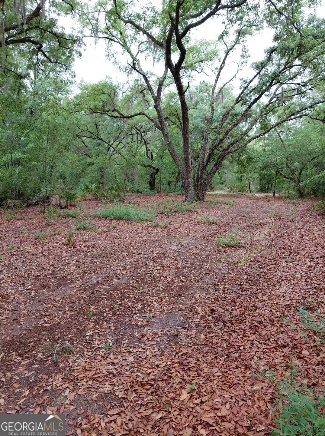 779 Ralph Davis Road Folkston GA 31537