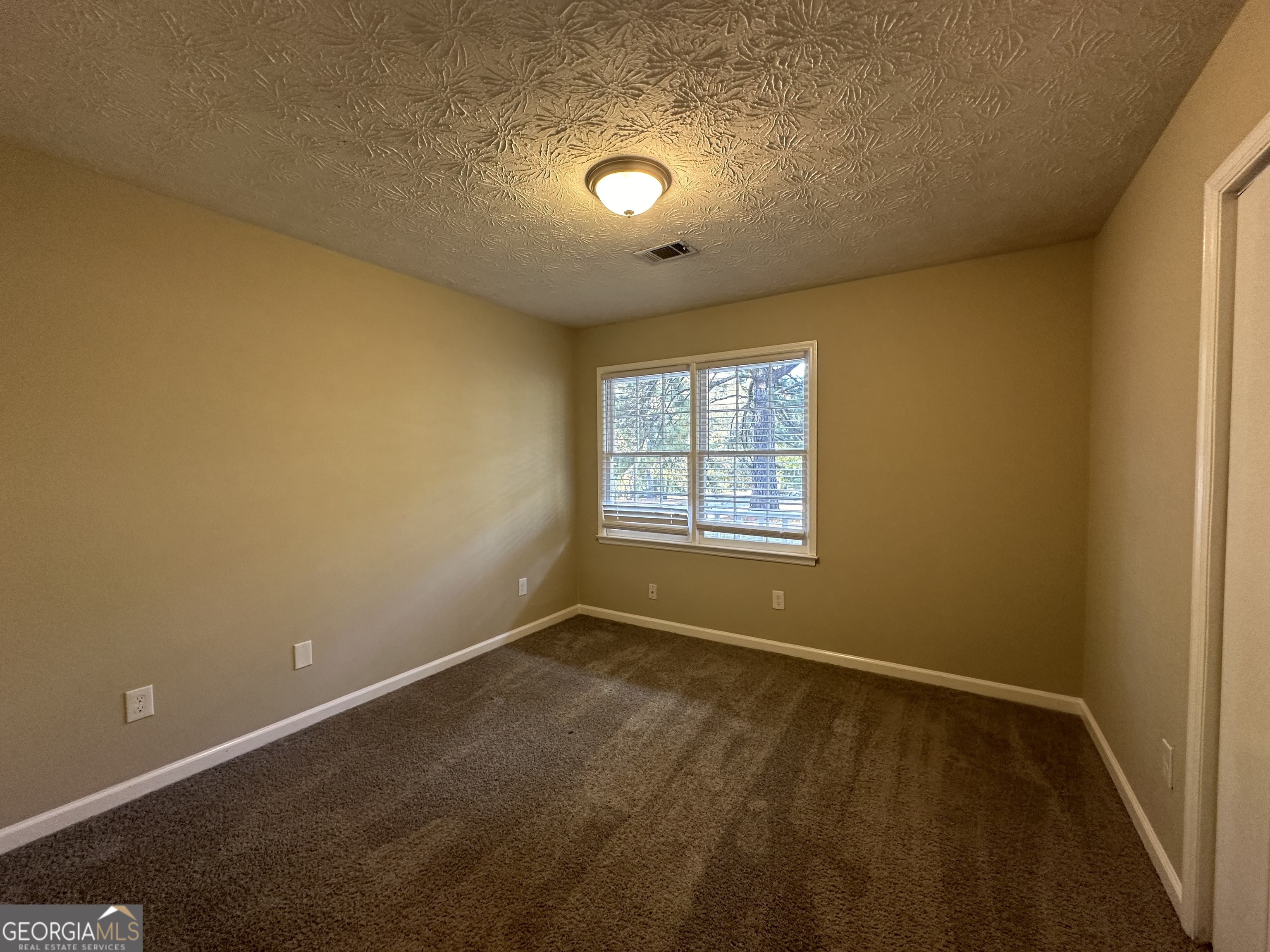 245 Remington Trail Ellenwood GA 30294