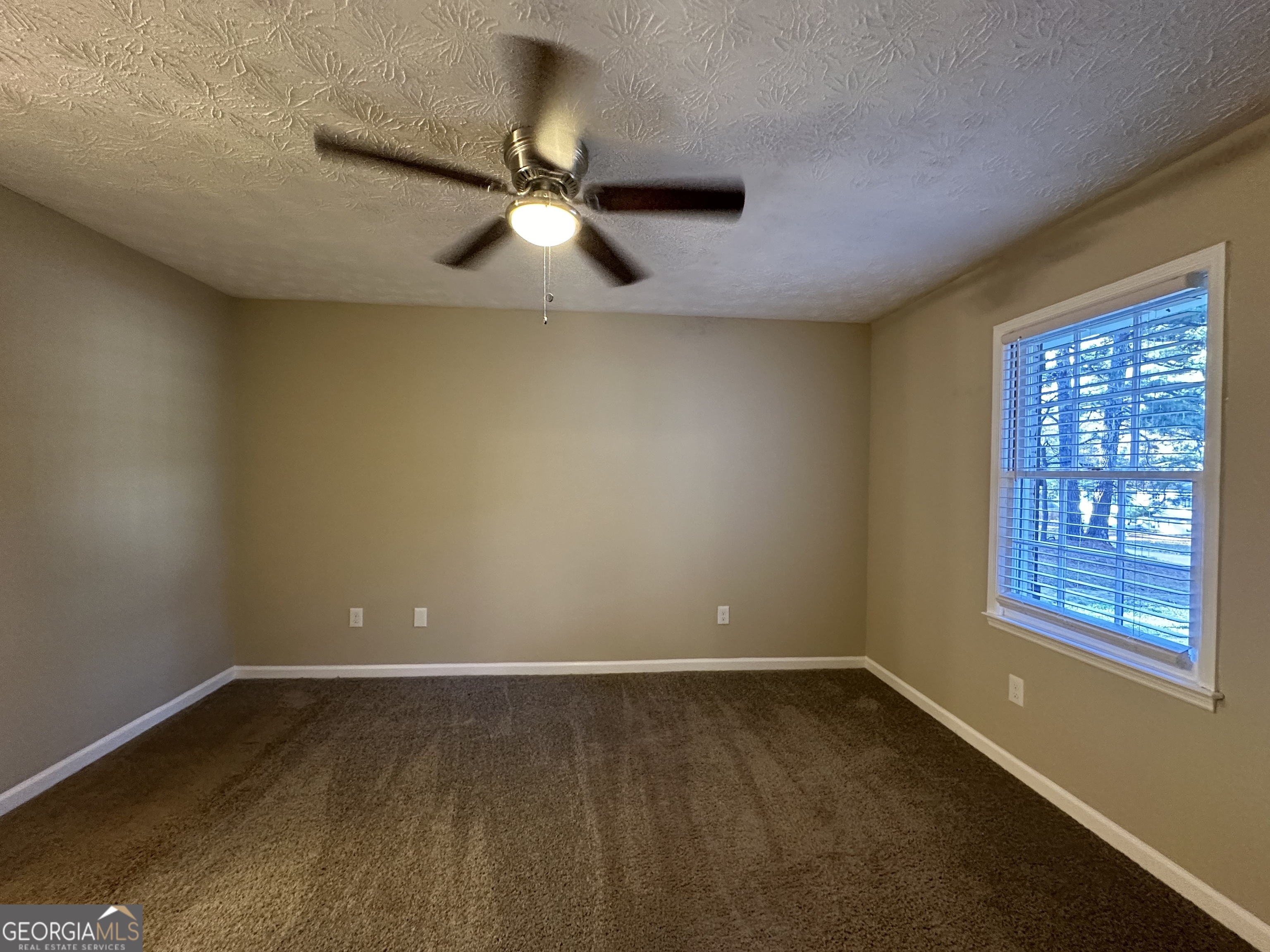 245 Remington Trail Ellenwood GA 30294