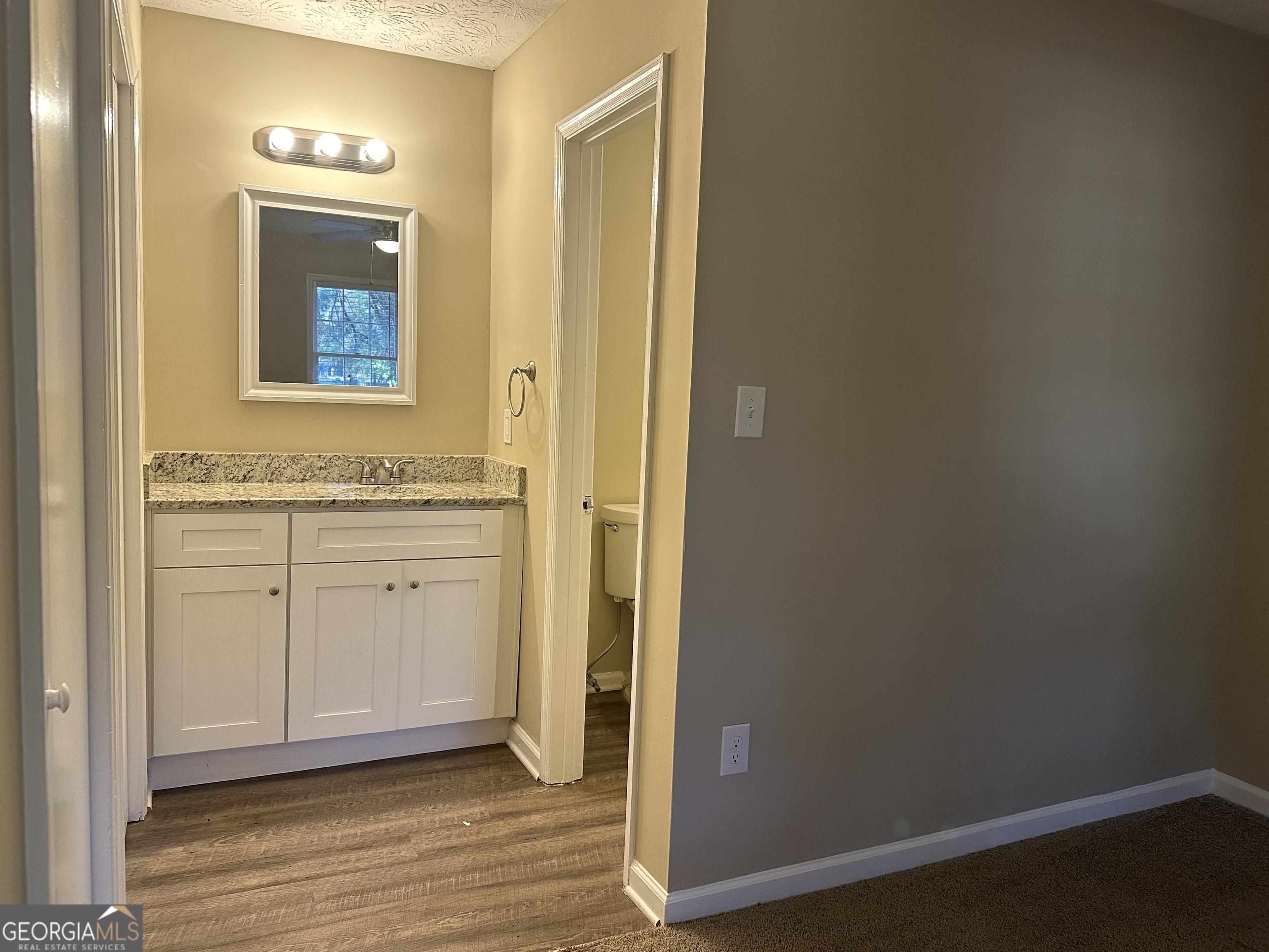 245 Remington Trail Ellenwood GA 30294