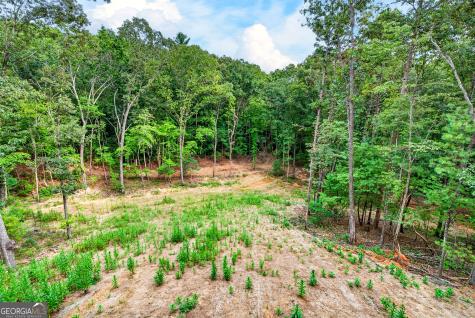 1030 Old Flat Branch Road Ellijay GA 30540