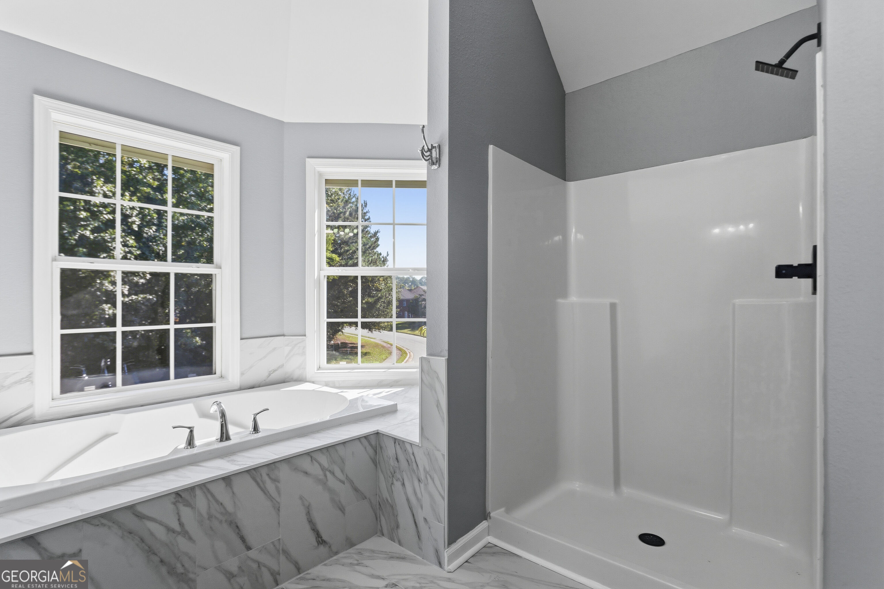 2894 Ashly Woods Court Snellville GA 30078