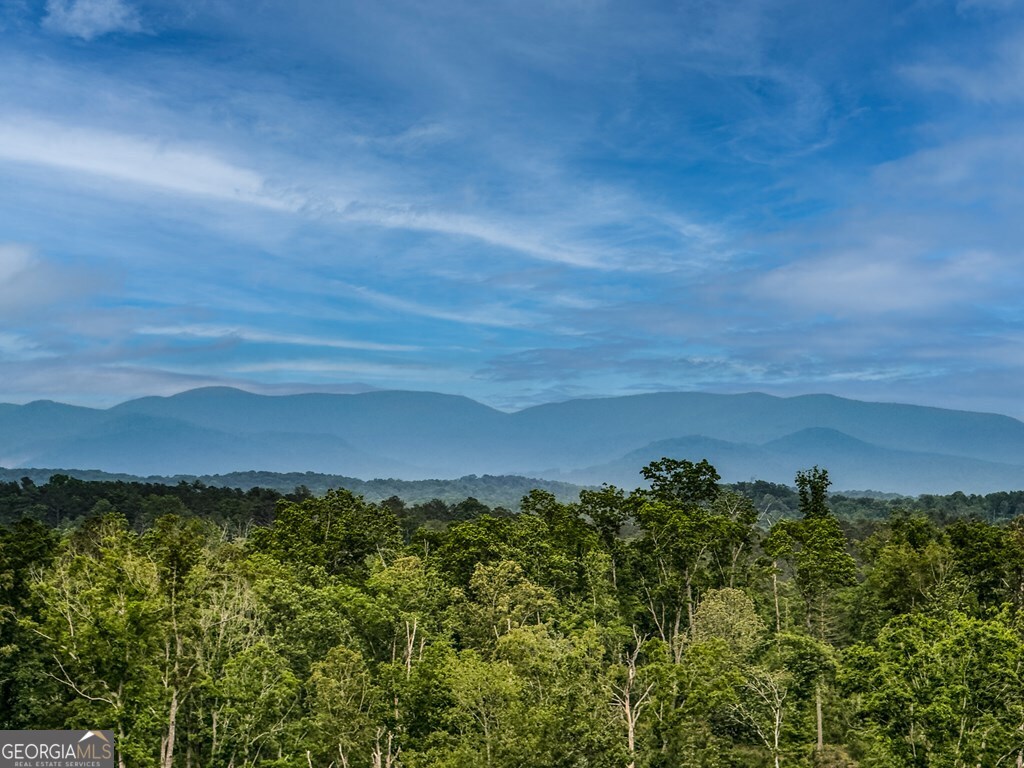 278 Oak Wood Lane Ellijay GA 30540