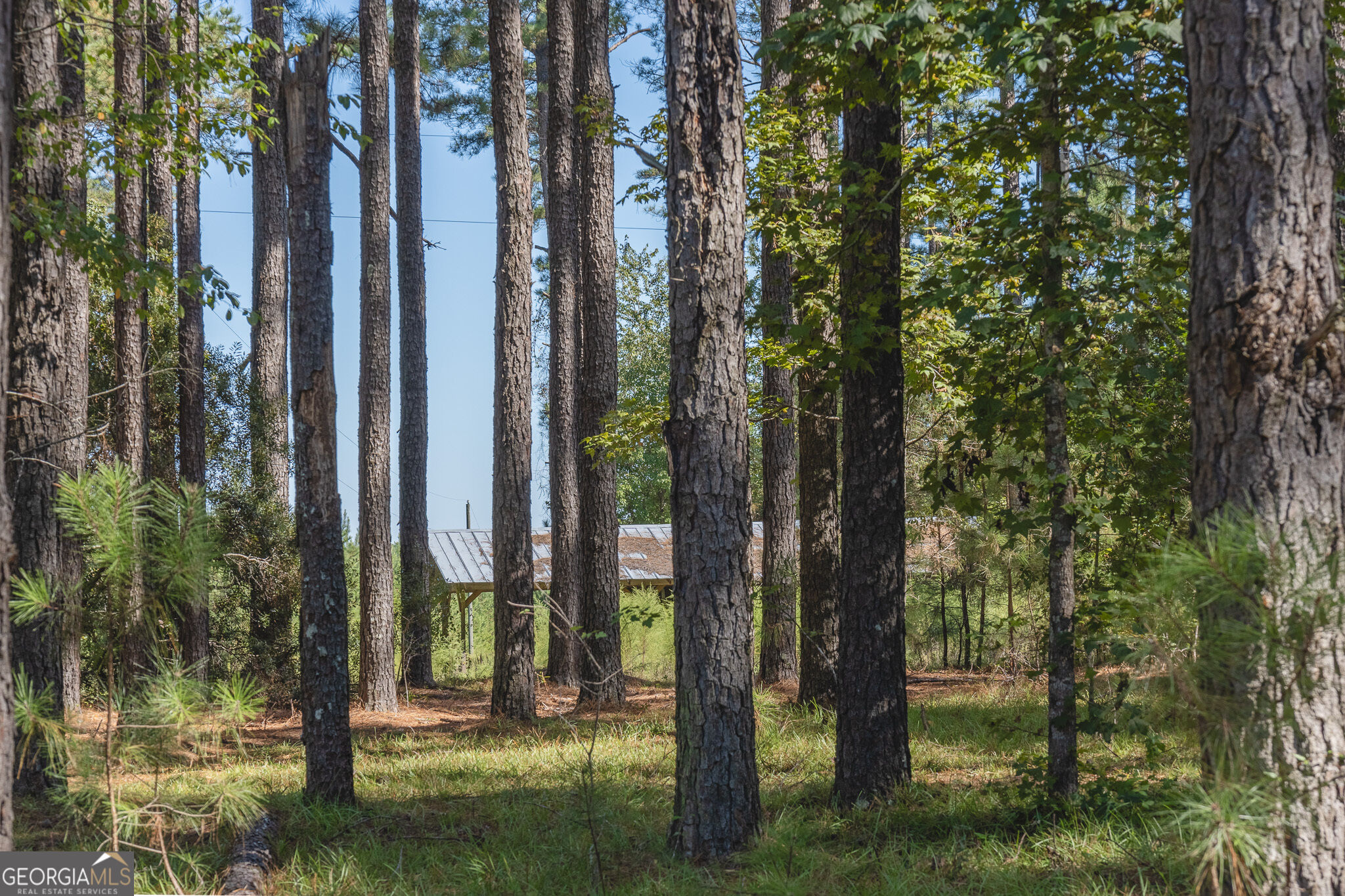 1412 Godbee Road Millen GA 30442