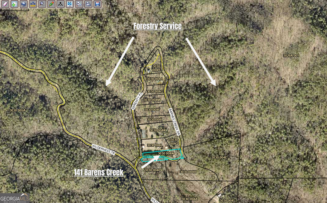 141 Barnes Creek Drive Ellijay GA 30540