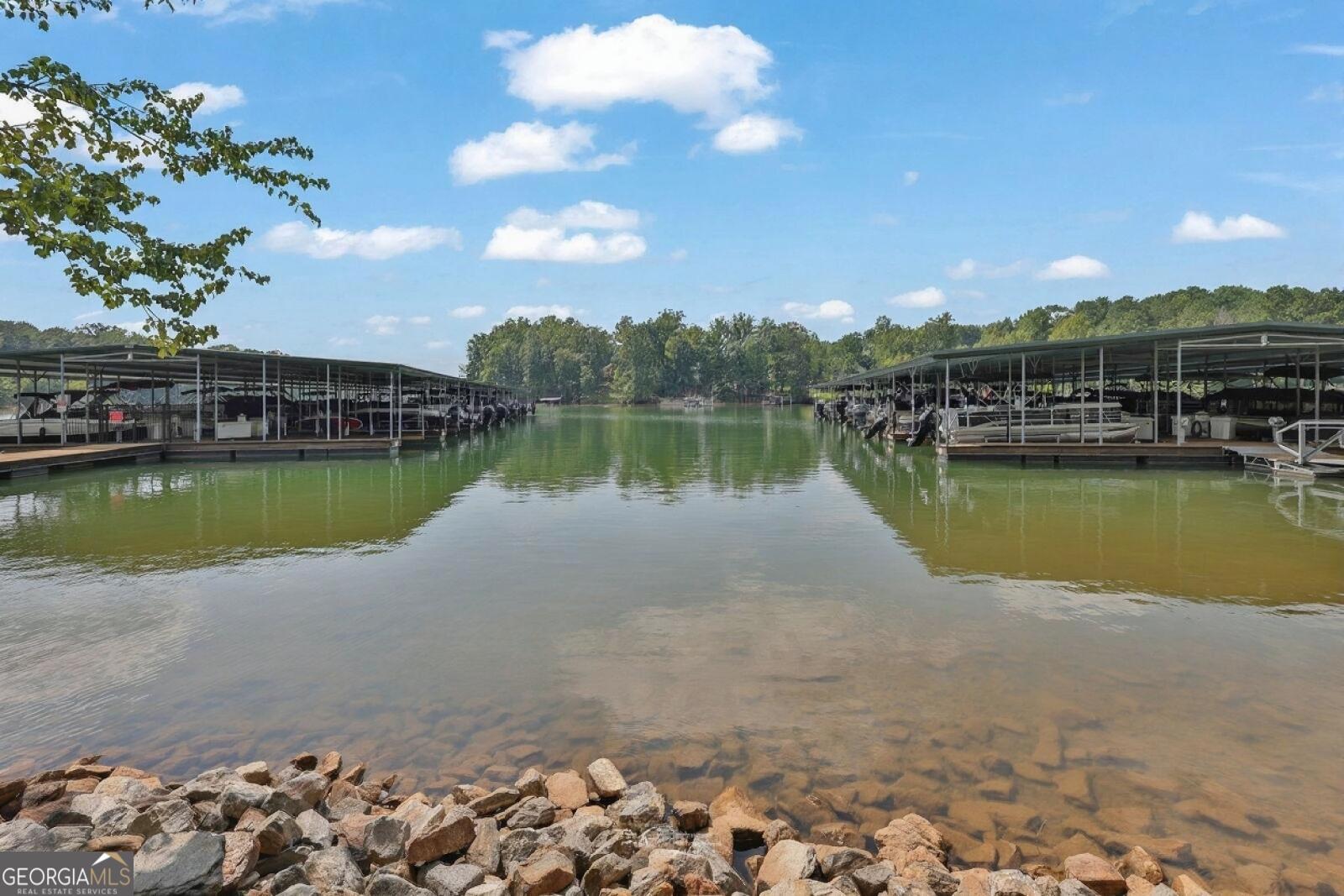 41 Lake Sydney Drive Dawsonville GA 30534