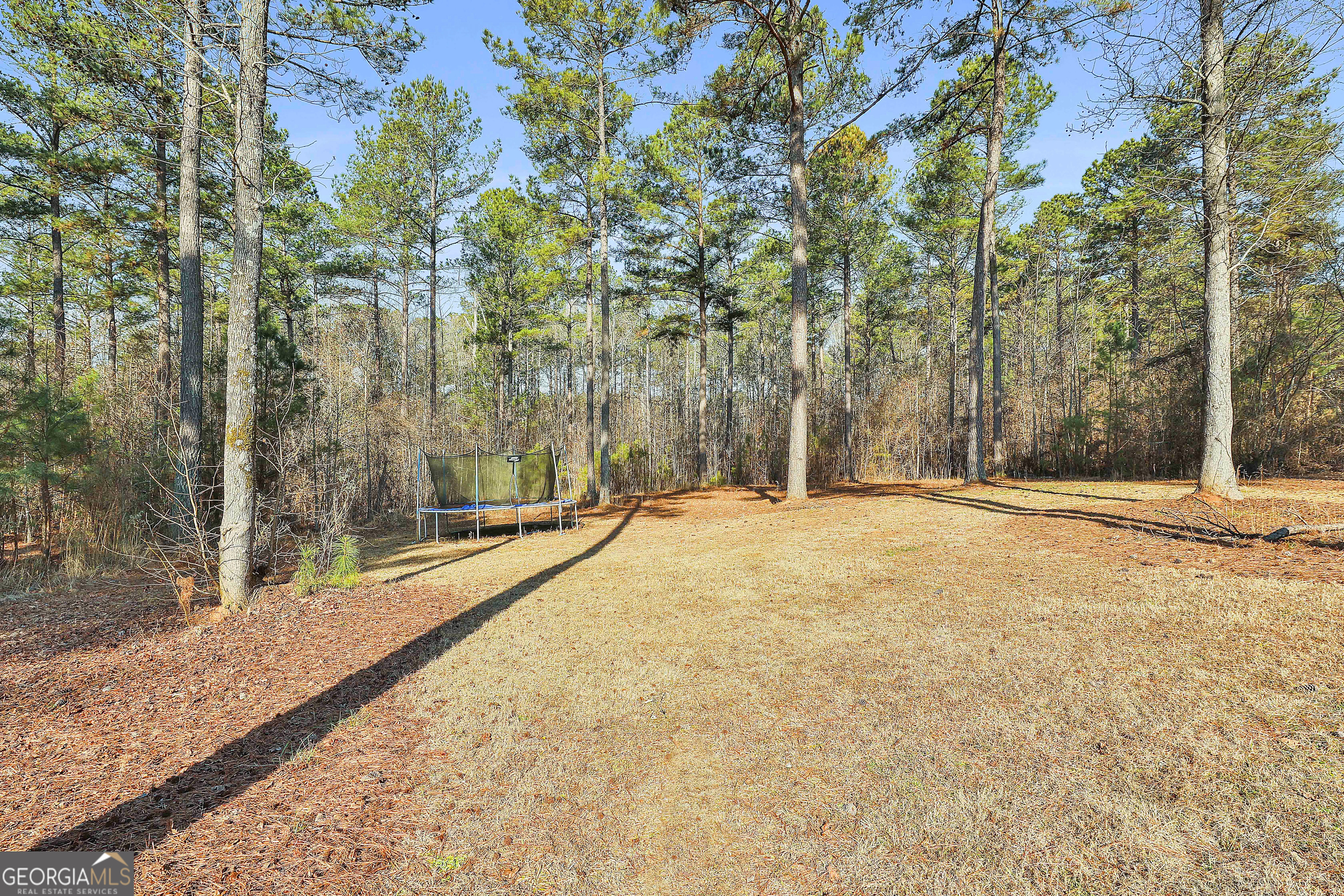 103 Fox Hall Crossing W Senoia GA 30276