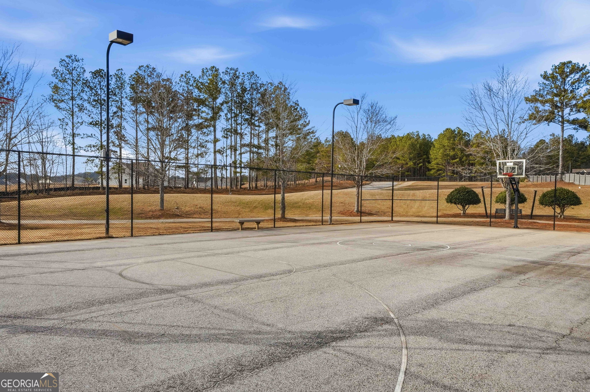 166 Richmond Way Villa Rica GA 30180
