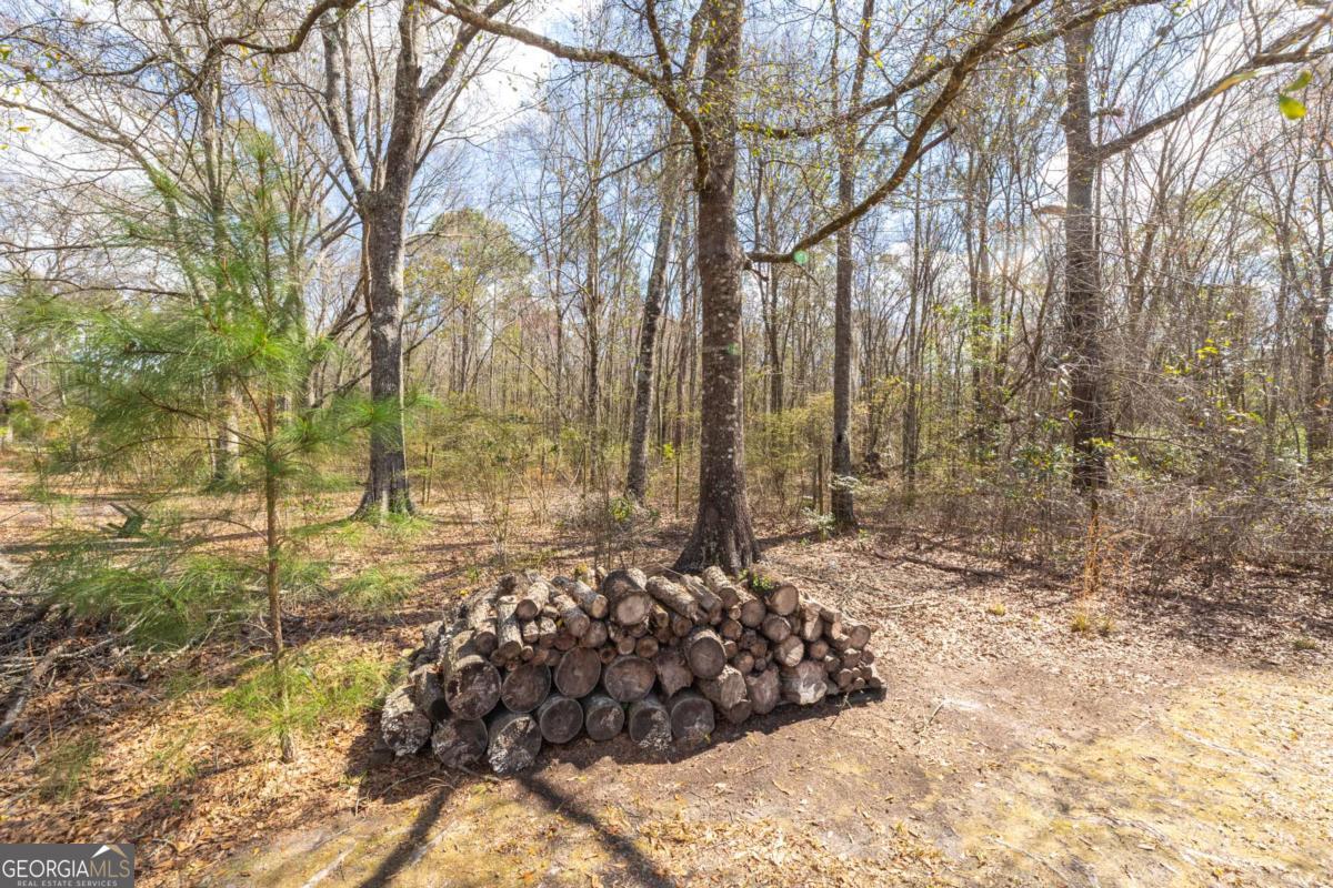 3547 Chapel Lane Blackshear GA 31516