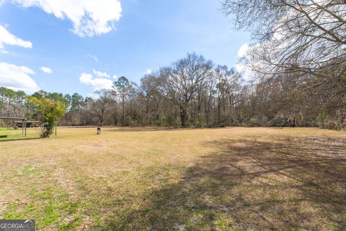 3547 Chapel Lane Blackshear GA 31516