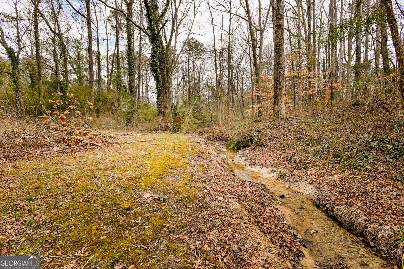 1766 Laurel Ridge Drive SW Conyers GA 30094