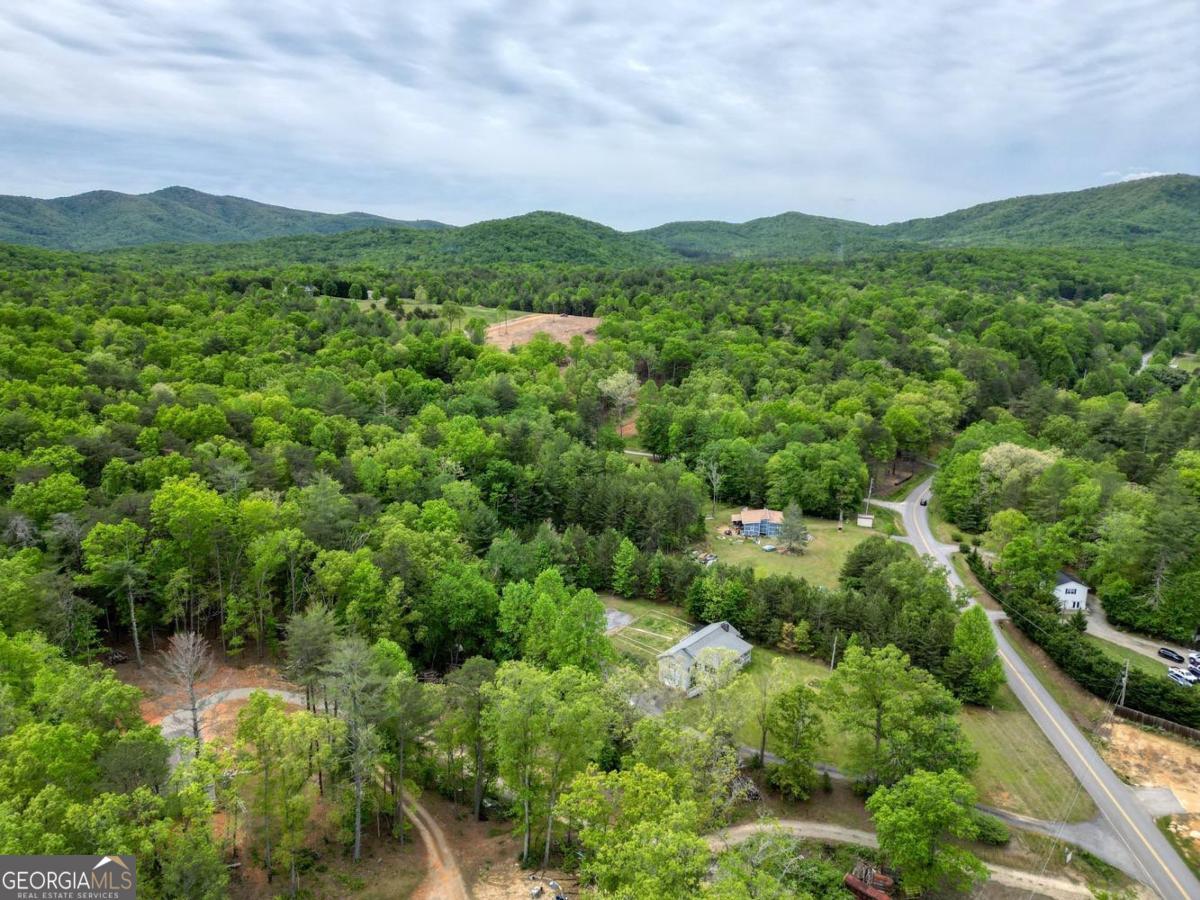 1085 W Jones Creek Road Blairsville GA 30512